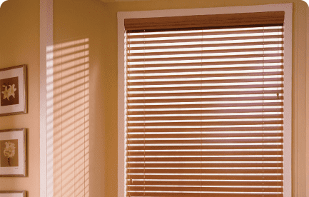 designer Window Curtains with shades